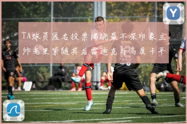 TA球员匿名投票揭晓最不深印象主帅老里紧随其后雷迪克与乌度卡平分秋色
