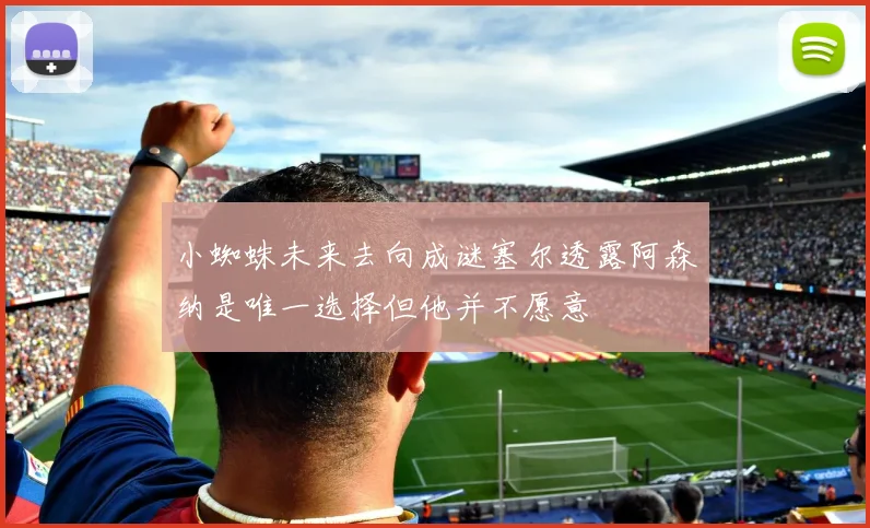 小蜘蛛未来去向成谜塞尔透露阿森纳是唯一选择但他并不愿意