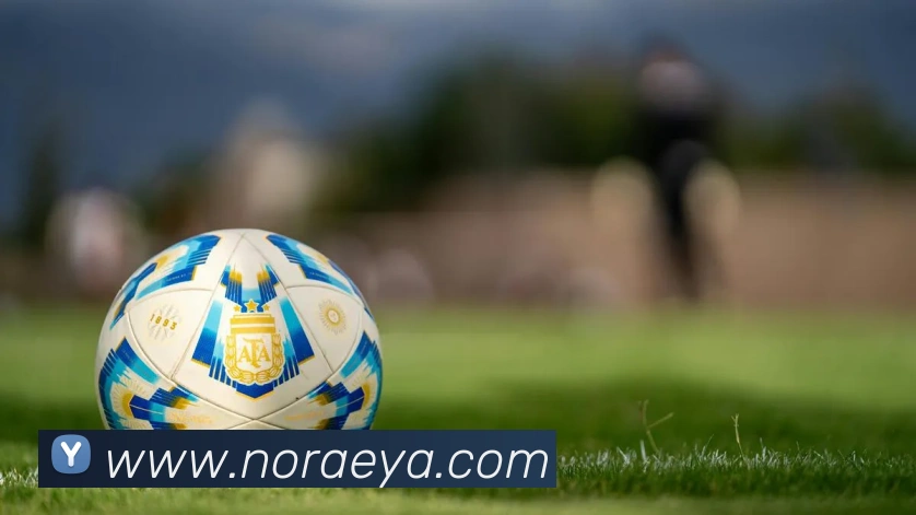 战术分析频道